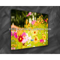 Textured Large Flower Painting on Canvas Decoration